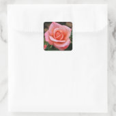 Romantische Rose Botanische Kunst Quadratischer Aufkleber (Tasche)