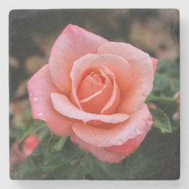 Romantische Rose Botanische Kunst Steinuntersetzer