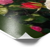 Romantische Rose Gartenpfad in Lugano Fotodruck (Ecke)