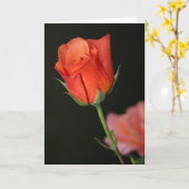 Romantische Rose Geburtskarte Karte (Gelbe Blume)
