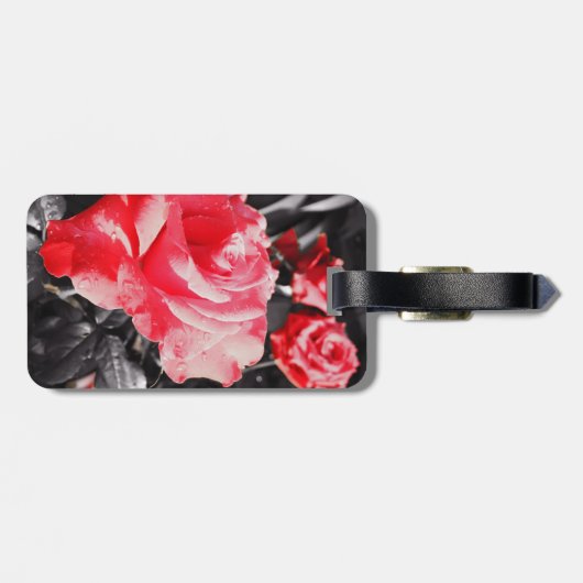 Romantische Rose Gepäckanhänger (Rückseite horizontal)