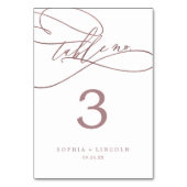 Romantische Rose Gold Kalligraphie Tischnummer (Rückseite)