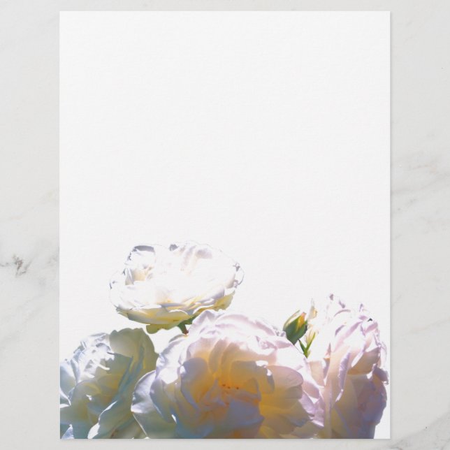 Romantische Rose in Weiß, Gelb, Orange, Gelb und G (Vorderseite)