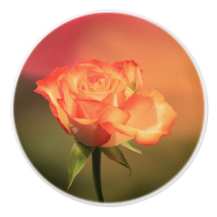 Romantische Rose Keramikknauf