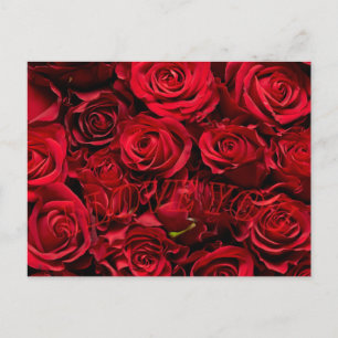 Romantische Rose Liebe Valentine Postkarte