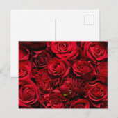 Romantische Rose Liebe Valentine Postkarte (Vorne/Hinten)
