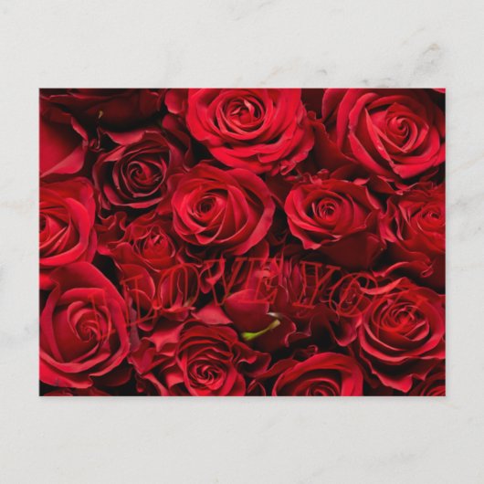 Romantische Rose Liebe Valentine Postkarte (Vorderseite)