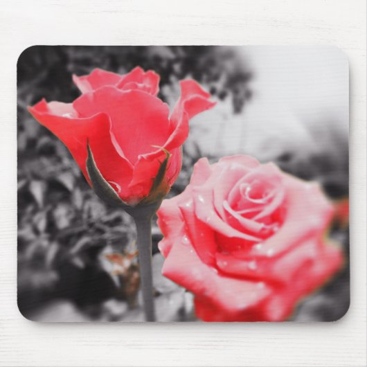 Romantische Rose Mousepad (Vorne)