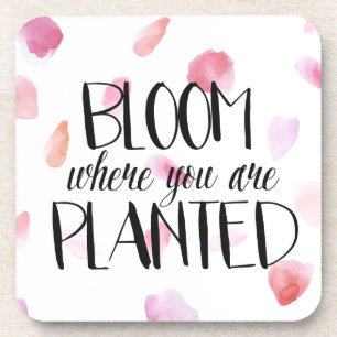 Romantische Rose Petals Bloom Getränkeuntersetzer