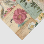 Romantische Rose Pink & Aqua Ephemere Tissue Paper Seidenpapier (Ausschnitt)