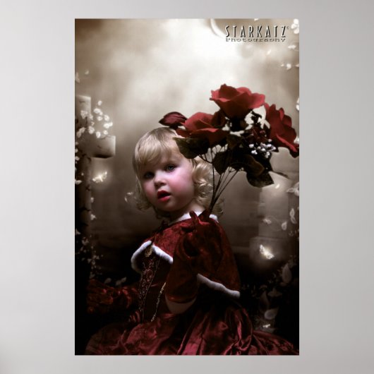 ~ROMANTISCHE ROSE~ POSTER (Vorne)