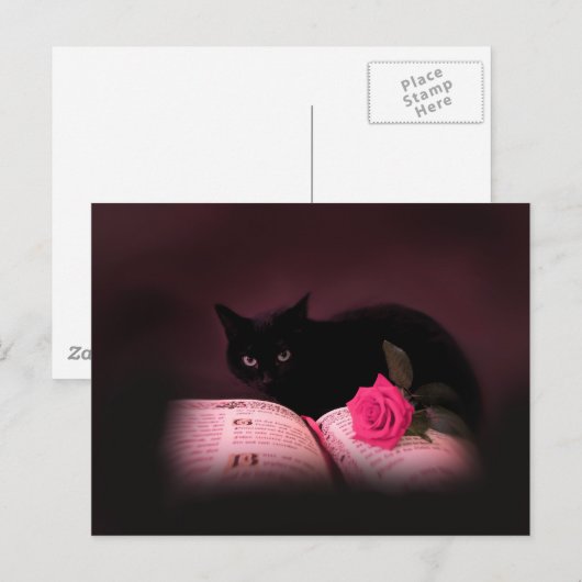 Romantische Rose Postkarte (Vorne/Hinten)