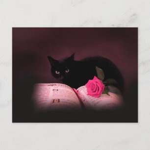 Romantische Rose Postkarte