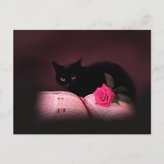 Romantische Rose Postkarte (Vorderseite)