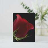 Romantische Rose Postkarte (Stehend Vorderseite)