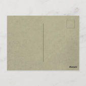 Romantische Rose Rosa Blumendusche Einladung Postkarte (Rückseite)