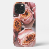 Romantische Rose Rustikale Fotografien iPhone Hülle (Rückseite)