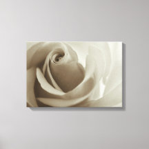 Romantische Rose Sepia Blume