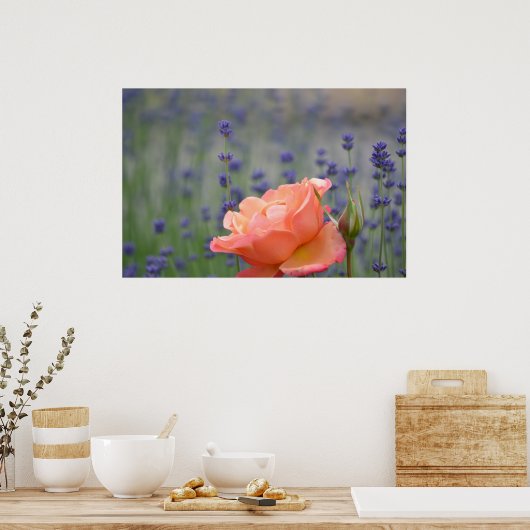 Romantische Rose und Lavendel Poster (Küche)