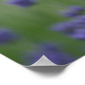 Romantische Rose und Lavendel Poster (Ecke)