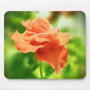 Romantische Rosenblumen #2 Mousepad
