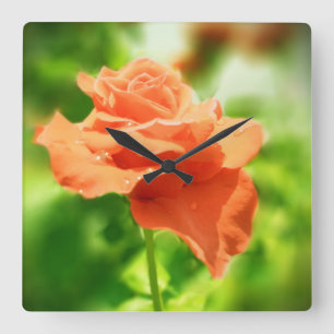 Romantische Rosenblumen #2 Quadratische Wanduhr