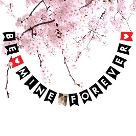 Romantische Rote Heirat Vorschlag Paar Foto Wimpelkette