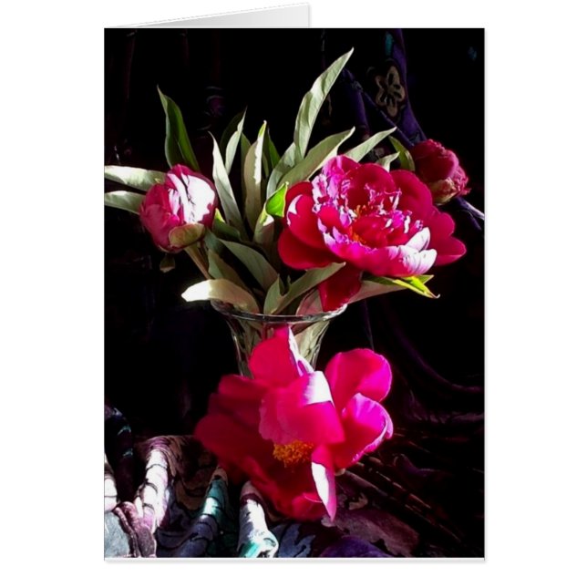 Romantische rote Pfingstrosen (Vorne)