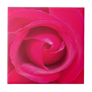 Romantische rote rosa Rose Fliese