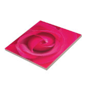 Romantische rote rosa Rose Fliese (Seite)