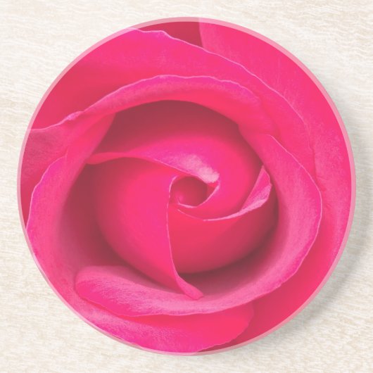 Romantische rote rosa Rose Getränkeuntersetzer (Vorne)