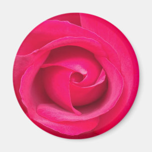 Romantische Rote Rosa Rose Magnet