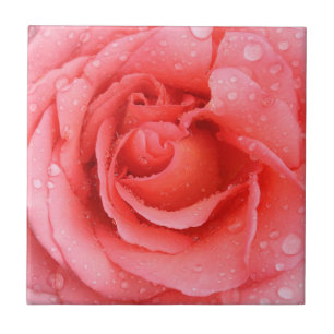 Romantische rote rosa Rosen-Wassertropfen Fliese
