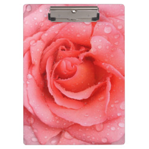 Romantische rote rosa Rosen-Wassertropfen Klemmbrett