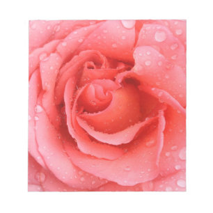 Romantische rote rosa Rosen-Wassertropfen Notizblock