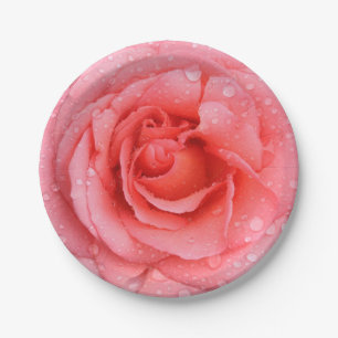 Romantische rote rosa Rosen-Wassertropfen Pappteller