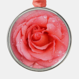 Romantische rote rosa Rosen-Wassertropfen Silbernes Ornament