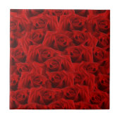 Romantische Rote Rose Fliese (Vorderseite)