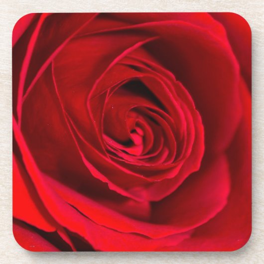 Romantische Rote Rose in voller Blüte Untersetzer (Vorderseite)