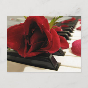 Romantische Rote Rose Liebe Postkarte