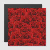 Romantische Rote Rose Magnetkarte (Vorne/Hinten)