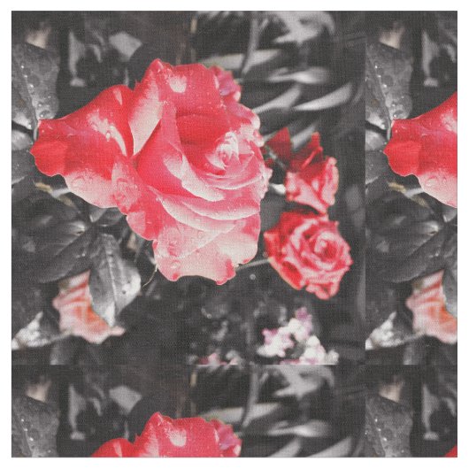 Romantische Rote Rosen Stoff (Nahaufnahme)
