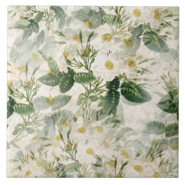 Romantische sanfte weiße Blume und grüne Blätter Fliese