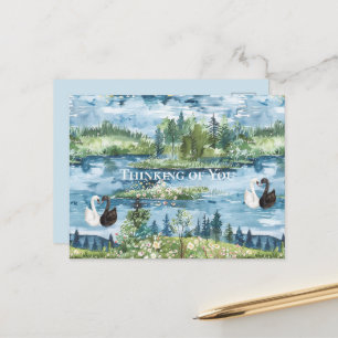 Romantische Schwäne Blauer See Postkarte