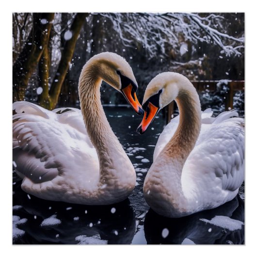 Romantische Schwäne im Winterwunderland Poster (Vorderseite)