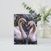 Romantische Schwäne im Winterwunderland Postkarte (Stehend Vorderseite)