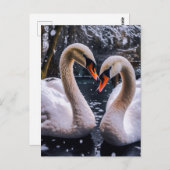 Romantische Schwäne im Winterwunderland Postkarte (Vorne/Hinten)