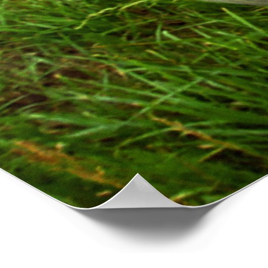 Romantische Straße Aloha Poster (Ecke)