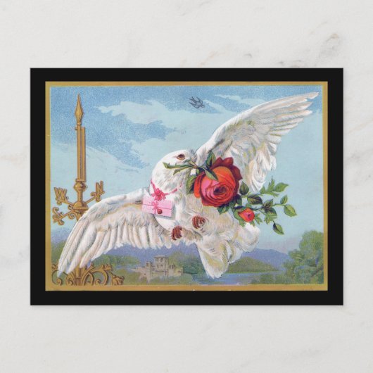 Romantische Taubpostkarte Postkarte (Vorderseite)