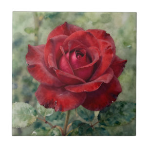 Romantische tiefrote Rosenblüte Fliese
